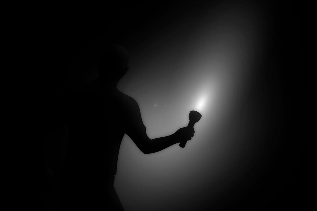 flashlight, blackout, power failure, energy, energy crisis, night, dark, supply failure, catastrophe, power supply, power plant, nuclear power plant, oil, gas, natural gas, green energy, error, breakdown, failure, heating, electricity, report, flashlight, flashlight, blackout, blackout, blackout, blackout, blackout, failure